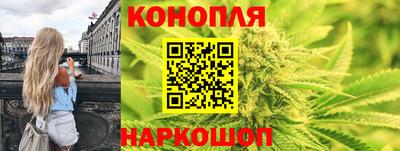 каннабис Кингисепп