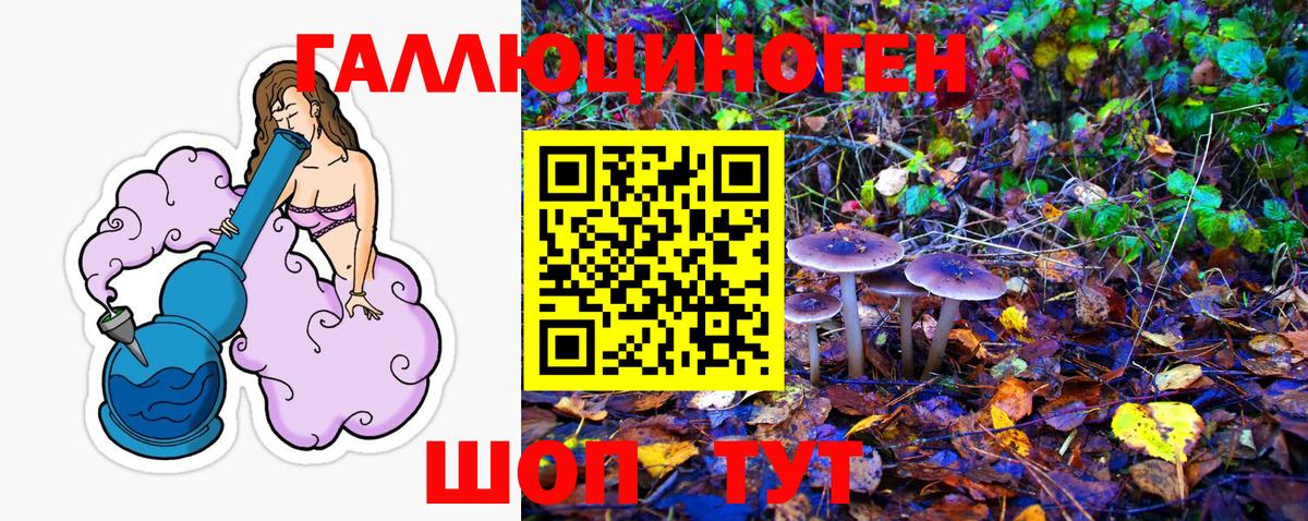 Галлюциногенные грибы GOLDEN TEACHER  Вход с VPN  сколько стоит  Корсаков  Псилоцибиновые грибы ЛСД 